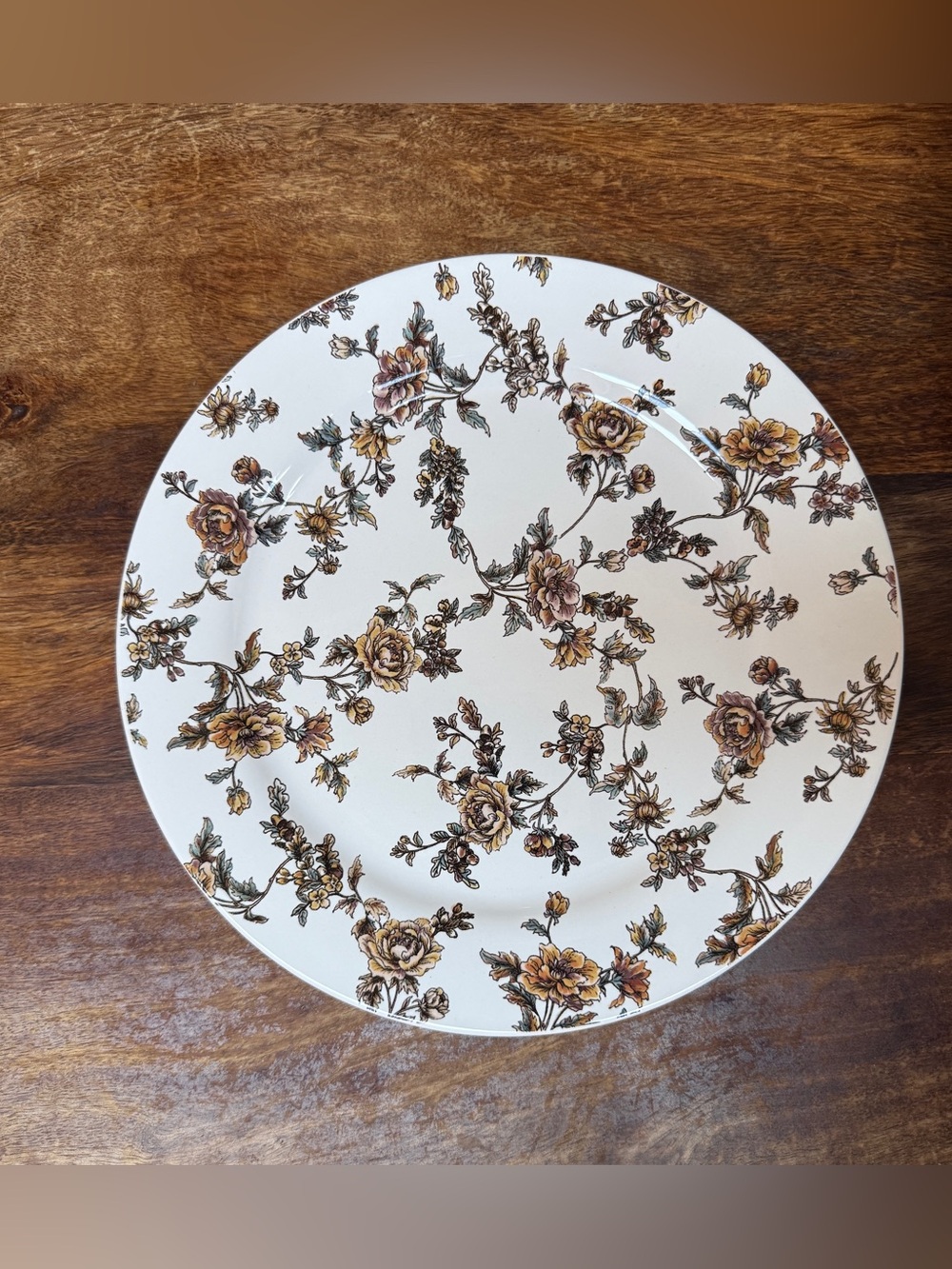 Sur La Table Cream Dinner Plates with Brown Floral Vine Pattern - Set of 3